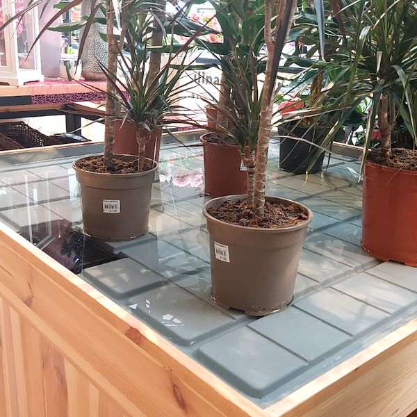 El Garden Center Il Tulipano se renueva con estilo