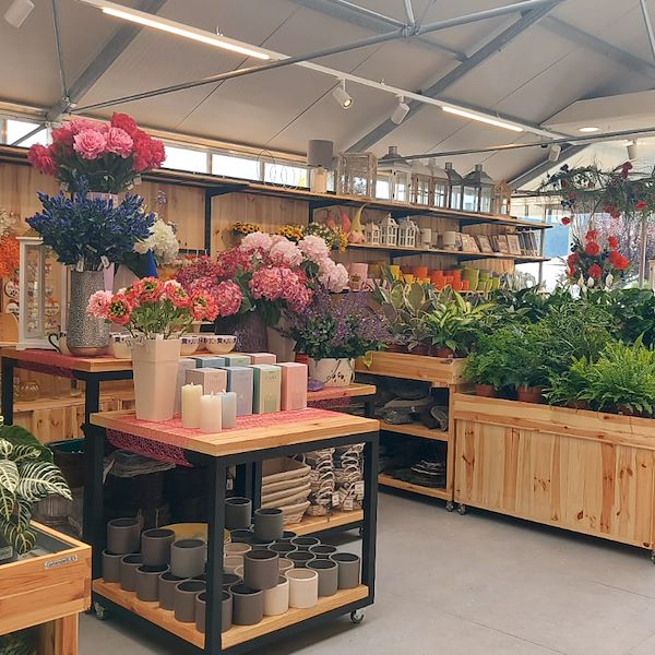 Das Gartencenter „Il Tulipano“ erstrahlt in neuem Stil