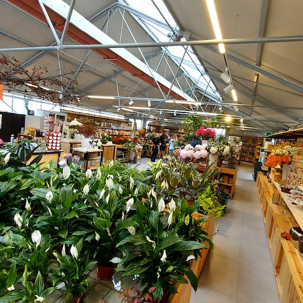 Das Gartencenter „Il Tulipano“ erstrahlt in neuem Stil