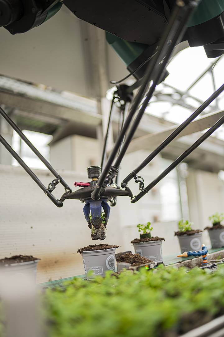 Llega el robot que revoluciona la agricultura: eficiencia récord en los invernaderos du futuro