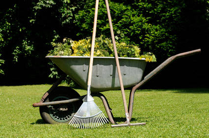 Aumento récord de jardineros, ¿como distinguirse de la competencia?