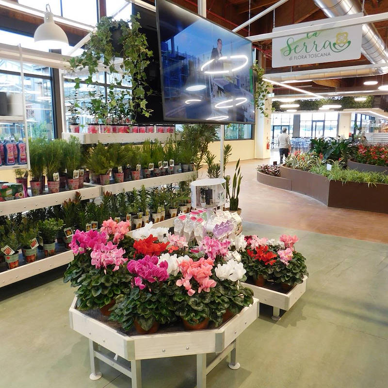 Banc d’extrémité en bois AMOR