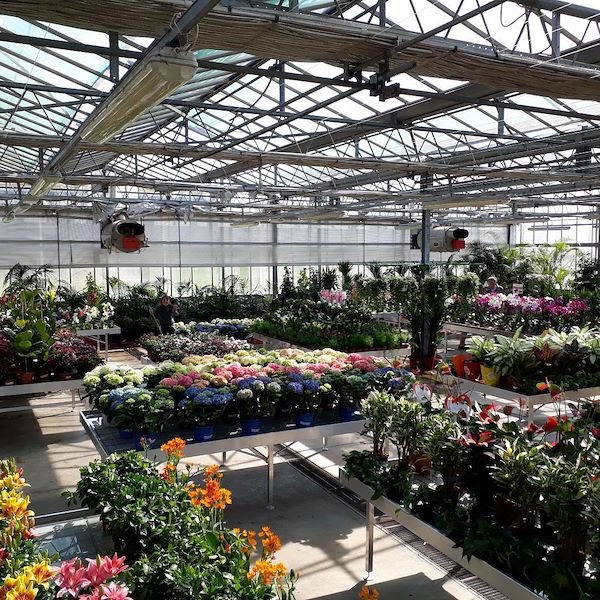 Ready-to-assemble fixed water tables in aluminum