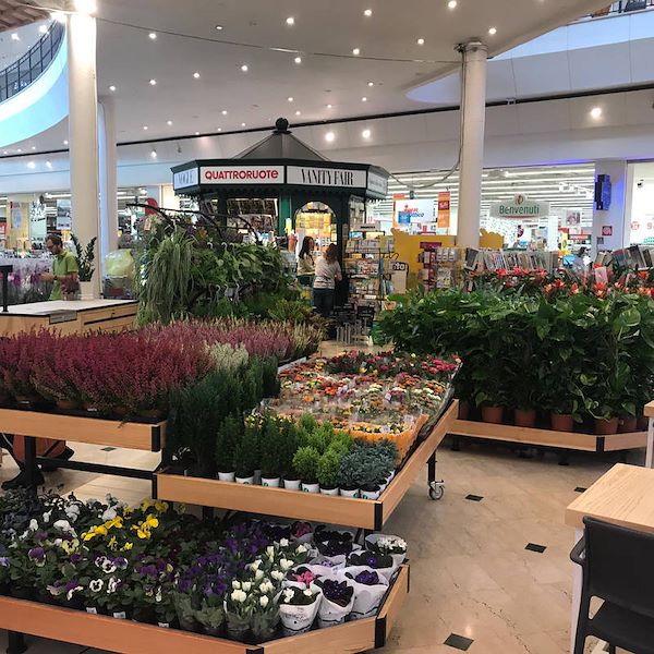 Mesa Linea en madera AMOR