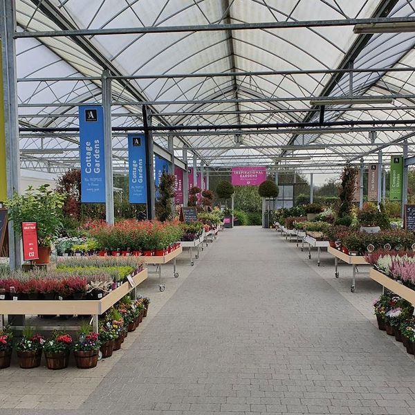 Table Ligne en bois AMOR