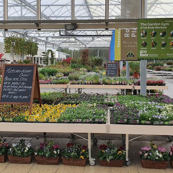 Table Ligne en bois AMOR