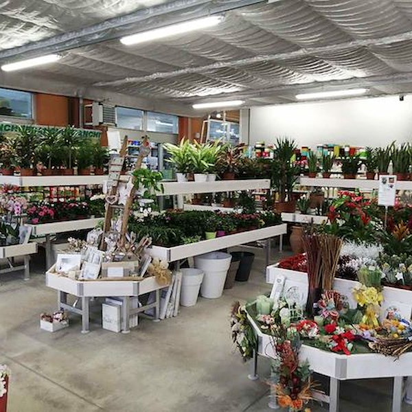 Mesa Linea en madera AMOR