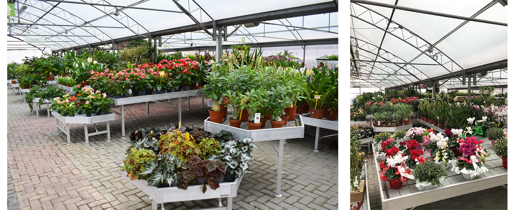Neue Ausstellungsstände, die den Platz optimal ausnutzen und alle zum Verkauf stehenden Pflanzen und Blumen zeigen.