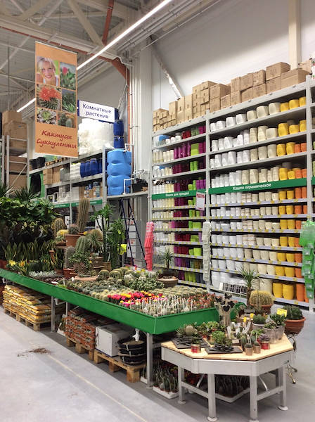 BauCenter presenta la nuova area piante e fiori