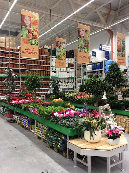 BauCenter presenta su nueva zona de plantas y flores