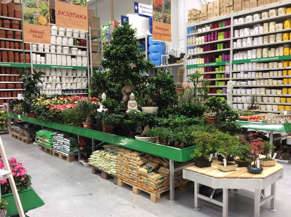 BauCenter présente le nouvel espace plantes & fleurs