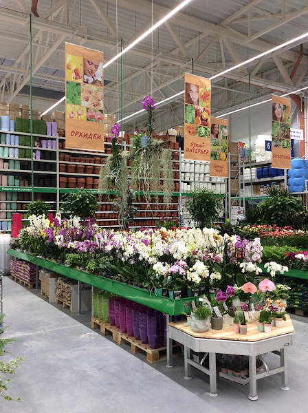 BauCenter présente le nouvel espace plantes & fleurs