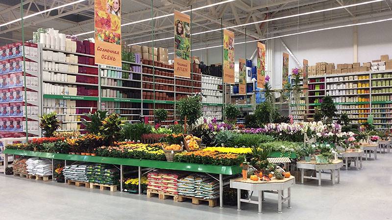 BauCenter présente le nouvel espace plantes & fleurs