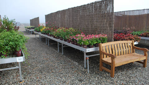 Blooming Nursery, Oregon (USA), an year later