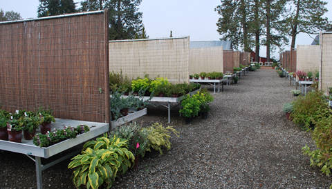 Blooming Nursery, Oregon (USA), un año después del equipamiento de pallets y expositores en aluminio