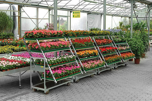 CABRIOLET CART: from transportation to exhibition in one CLICK 