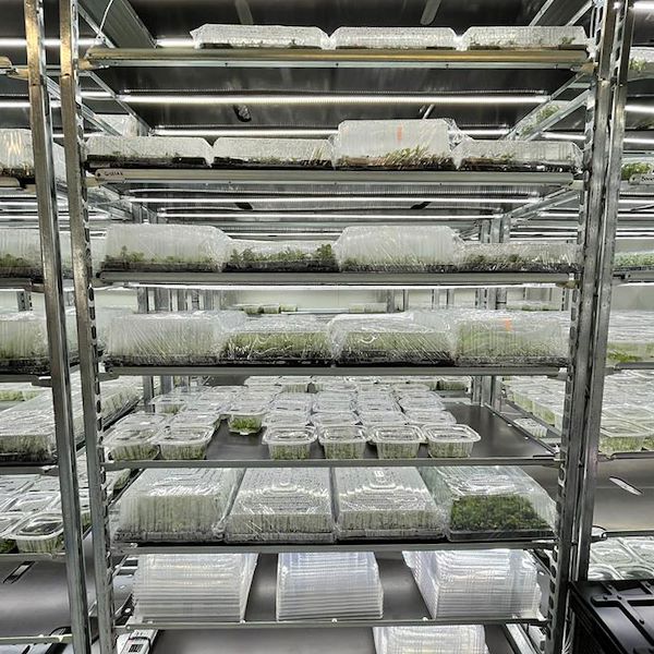 Carrito DC con kit de iluminación led para GERMINACIÓN E INJERTO