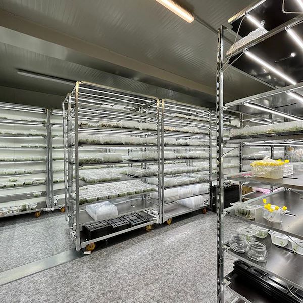 Chariot DC avec kit d'éclairage LED pour GERMINATION ET GREFFAGE