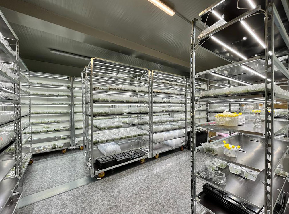 Carrito DC con kit de iluminación led para GERMINACIÓN E INJERTO