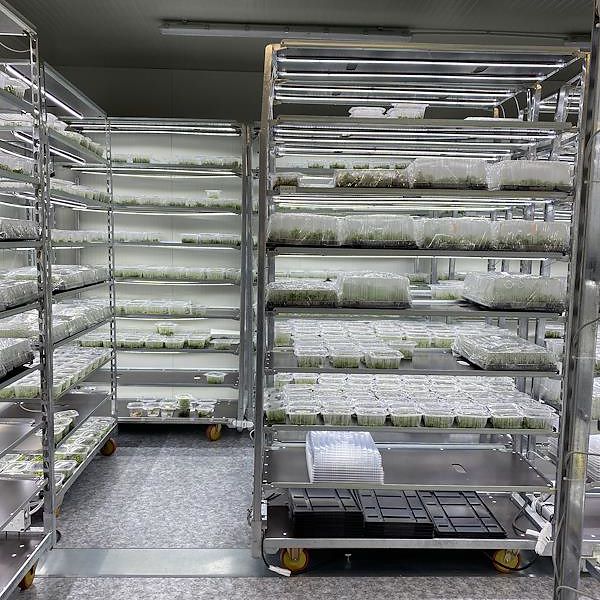 DC trolley with LED lights kit for GERMINATION and GRAFTING - 8 lamps