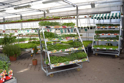 CARRITO CABRIOLET: desde el trasporto hasta la exposición con un CLICK