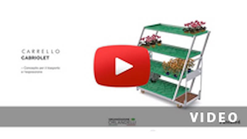 CARRITO CABRIOLET: desde el trasporto hasta la exposición con un CLICK