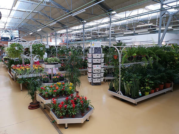 Centro de Jardinería Mundo Verde, remodelación del área dedicada a las plantas de interiores