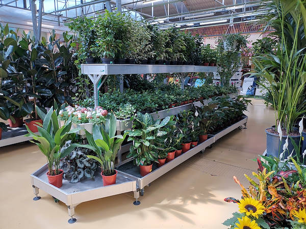 Centro de Jardinería Mundo Verde, remodelación del área dedicada a las plantas de interiores