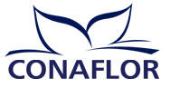 Confindustria Mantova und Organizzazione Orlandelli