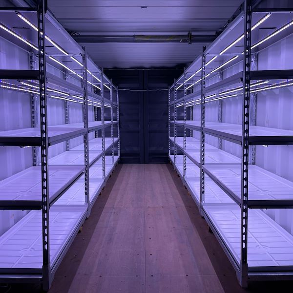 Erleben Sie den Einkaufswagen mit LED-Beleuchtung 60 Tage lang!