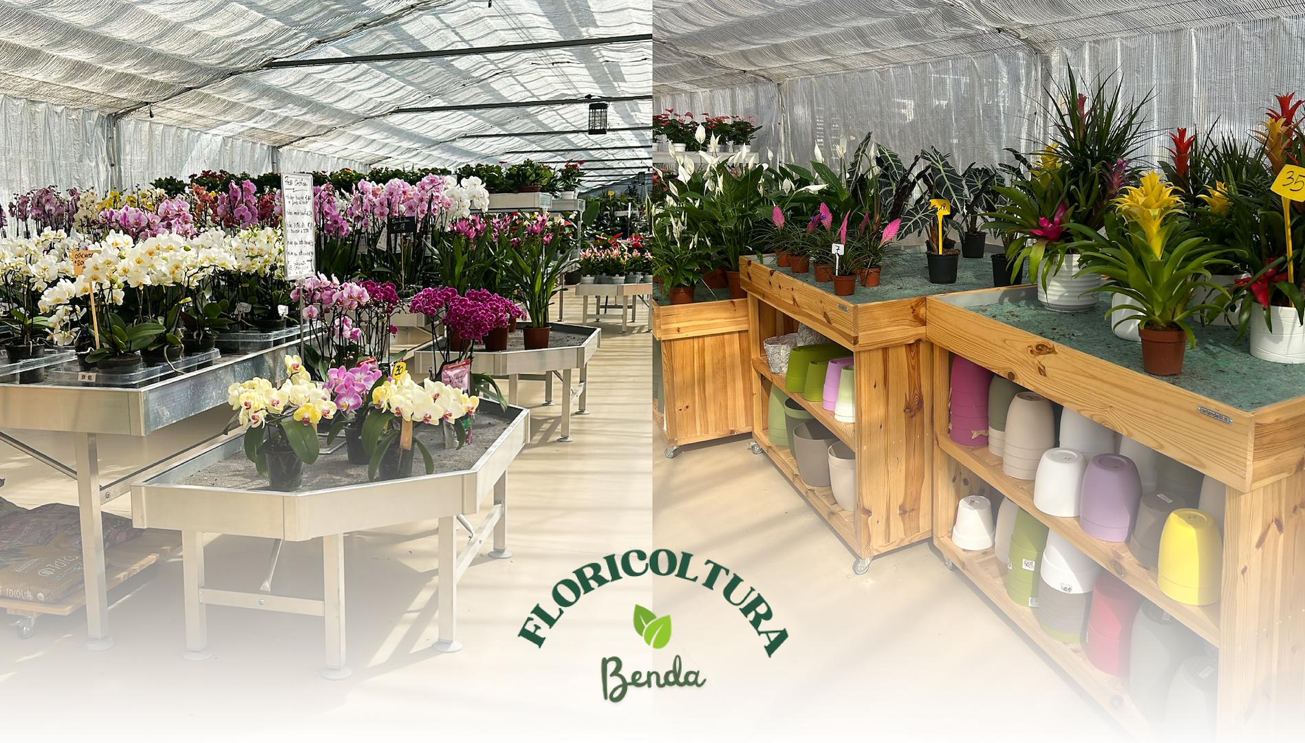 Del vivero al Garden Center: la remodelación de Floricoltura Benda