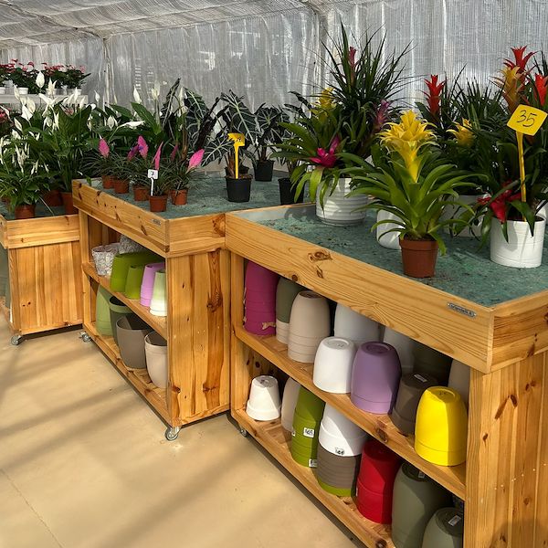 Del vivero al Garden Center: la remodelación de Floricoltura Benda