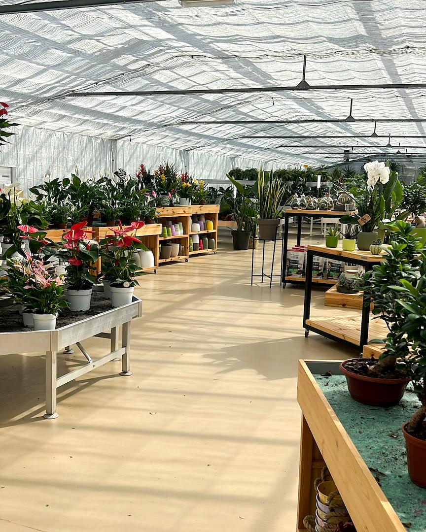 Pépinière et Garden Center : il restyling di Floricoltura Benda