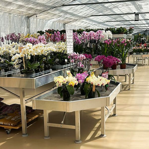 Pépinière et Garden Center : il restyling di Floricoltura Benda