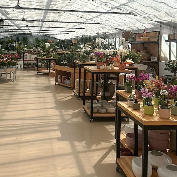 Pépinière et Garden Center : il restyling di Floricoltura Benda