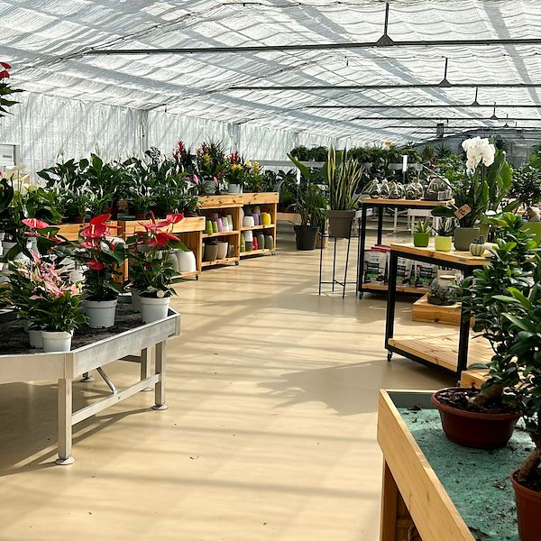 Pépinière et Garden Center : il restyling di Floricoltura Benda
