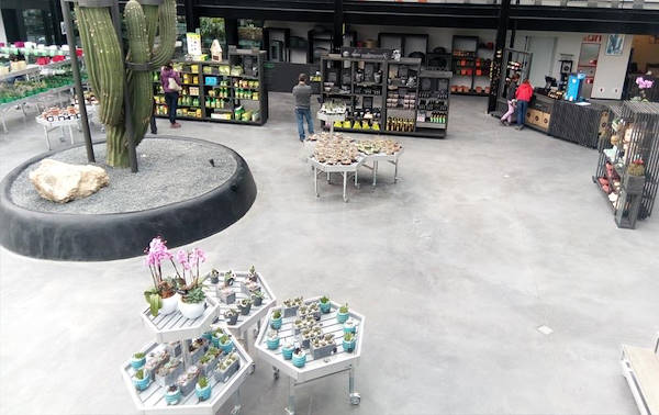 Desert City, le désert plus grand de Madrid