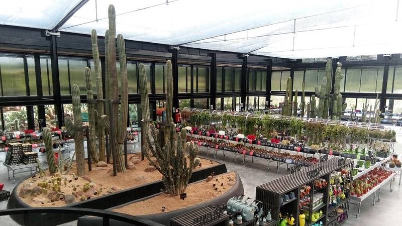 Desert City, le désert plus grand de Madrid