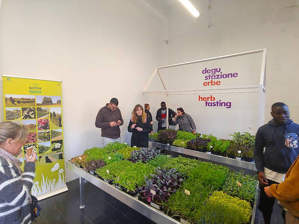 Design Week 2019