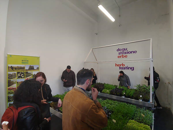 Design Week 2019