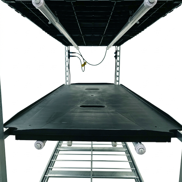 Chariot à grille 1350 avec éclairage LED TUBE EXTRA PAR pour culture