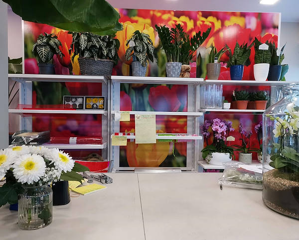 Die Oasi dei fiori in Mailand erhält ein neues, junges und elegantes Layout