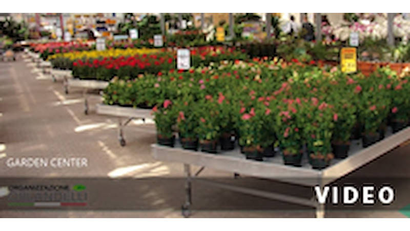 DIYGLOBAL, 150 mots à propos de Organizzazione Orlandelli