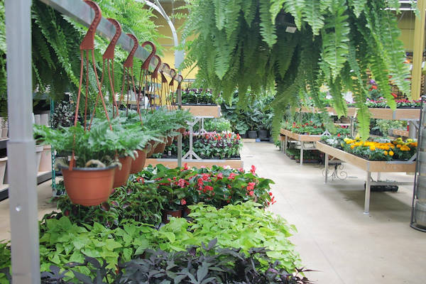 El mobiliario AMOR rediseña la zona de plantas y flores de “Urban Hardware”