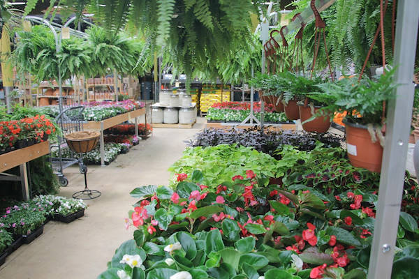 El mobiliario AMOR rediseña la zona de plantas y flores de “Urban Hardware”