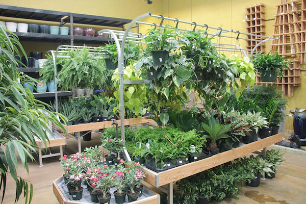 El mobiliario AMOR rediseña la zona de plantas y flores de “Urban Hardware”