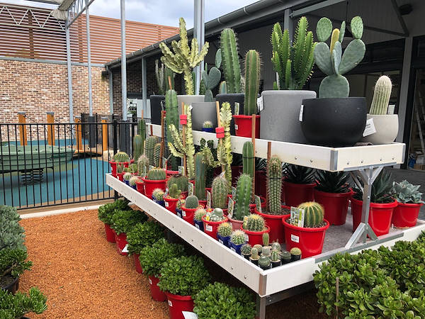 El nuevo vivero “Flower Power”