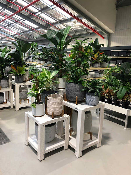 El nuevo vivero “Flower Power”