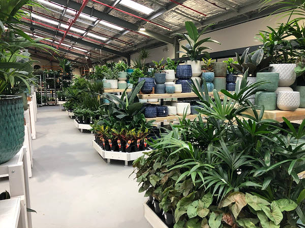 El nuevo vivero “Flower Power”