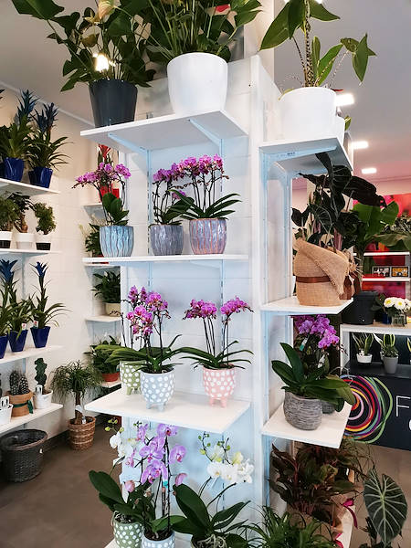 El Oasi dei fiori de Milán se renueva con un diseño juvenil y elegante